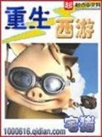 精灵外挂 作者：时时中彩