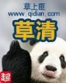 英雄联盟之极品天才