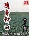凤之情殇