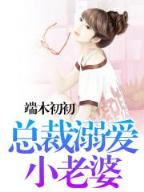 踏上极巅