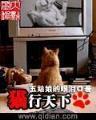 踏仙升魔 作者：一分快三网上平台