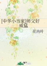 大剑13
