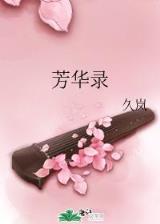 晶码战士全集大结局 作者：火红快三