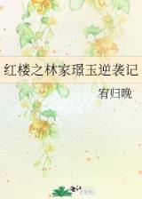 飞龙升天 作者：南方双彩应用下载