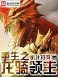 我是胤禛福晋 作者：虹彩官网
