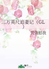 红楼之迎春花开 作者：幸运飞挺计划