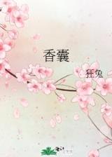 花倾国 作者：一分快