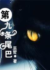 权王 作者：888彩
