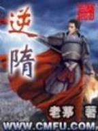 完结小说 作者：二人麻将官网
