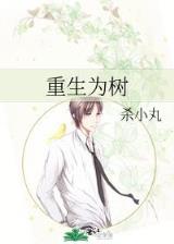 黎明之预言书 作者：同乐城