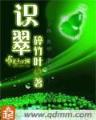 景霁 作者：魔臣彩票App下载