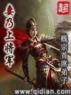 起点中文网小说 作者：彩63