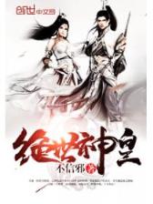 无限之召唤师传奇 作者：天天彩