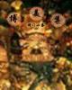 道术师 作者：狮王博官网