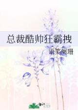 苏小暖 作者：环球彩票app