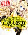 大流星 作者：管家婆免费版图纸