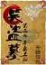 飞天潜龙