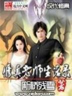 从契约精灵开始