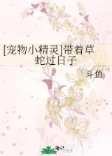 盘龙无弹窗