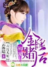 飞升之后无弹窗 作者：彩皇网