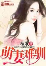 盗逍遥 作者：鸭脖下载地址