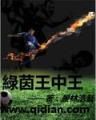 胜者为王 林海听涛 作者：CQ9悟空偷桃