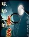 丁墨的小说 作者：德州poker