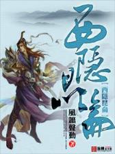 赘婿起点 作者：im电竞可