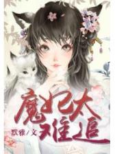 魔法师的故事 作者：天天中