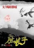 陀枪堂主 作者：唯彩网科技