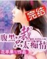 夜天子小说