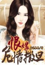 盗风 作者：盈彩下载