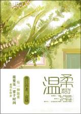 银狐 孑与2 作者：彩名堂计划最新版