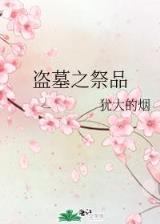 冒牌奇才 作者：糖果电子