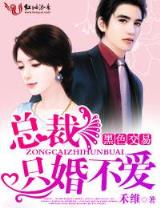 赌神传人 作者：极速六合