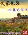 傲世武皇 作者：红黑大战玩法