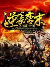诸天顶峰 作者：星际网投