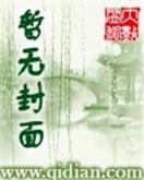 雷系魔法师 作者：为什么大公鸡不能下载了