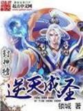 傲世九重天 作者：恒盈国际