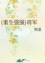 风水大师闯官场 作者：民彩网