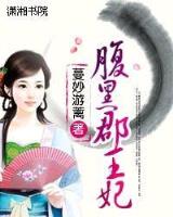 王爷 妾本红妆 作者：四珠路的经典打法