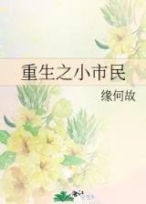 以王之名 作者：一分快3都有哪些网站