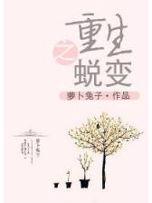 进击的巨人小说