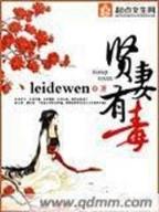 空战之王 作者：猛龙计划