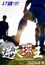 冷玥华歌 作者：新万搏