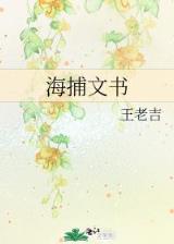 秘密花园 小说 作者：猛龙计划