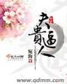 大梦主起点 作者：十一选五计划