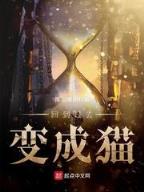 明星大亨