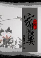 月关的小说 作者：彩神app