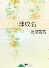 九阳至尊 作者：趣购彩在线入口